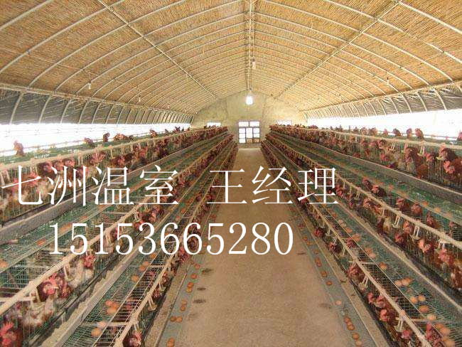 ��ֳ���ҵ���鿴��ϸ��Ϣ