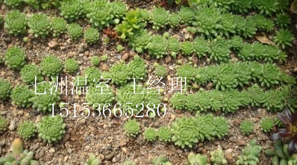 ũҵ�������鿴��ϸ��Ϣ